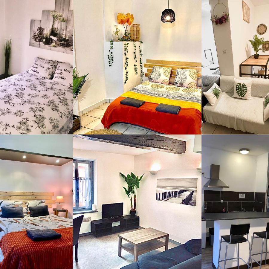 Appartements 24H 7J Καρκασόν Εξωτερικό φωτογραφία